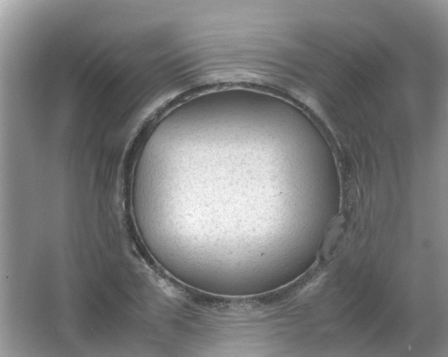 X0000066940979200604071908