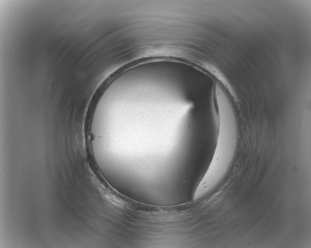 X0000066940980200604071908