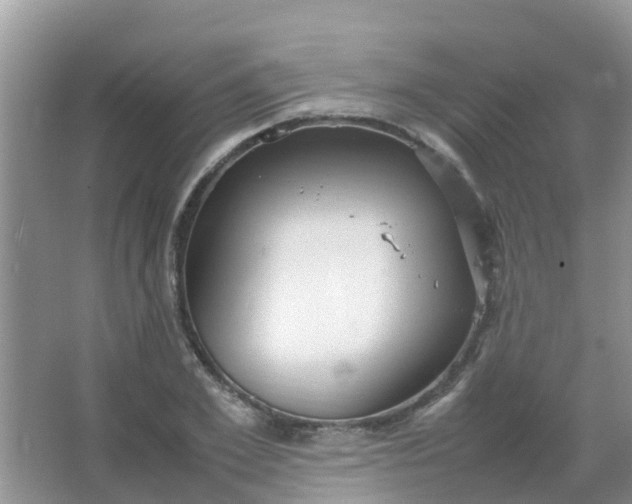 X0000066940981200604071908