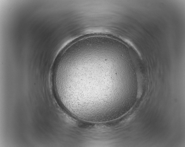 X0000066940983200604071908