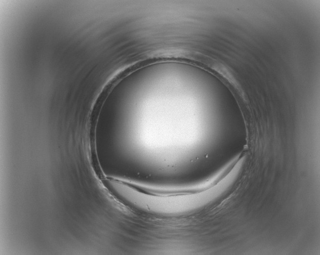 X0000066940984200604071908