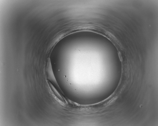 X0000066940985200604071908