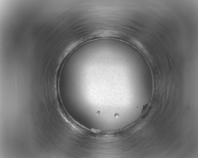 X0000066940986200604071908