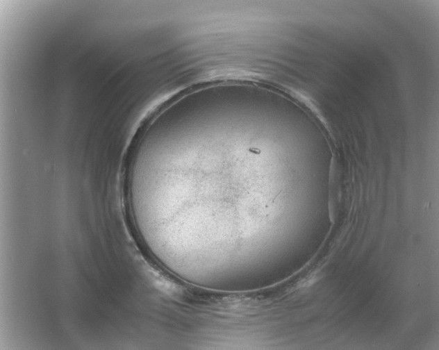 X0000066940987200604071908