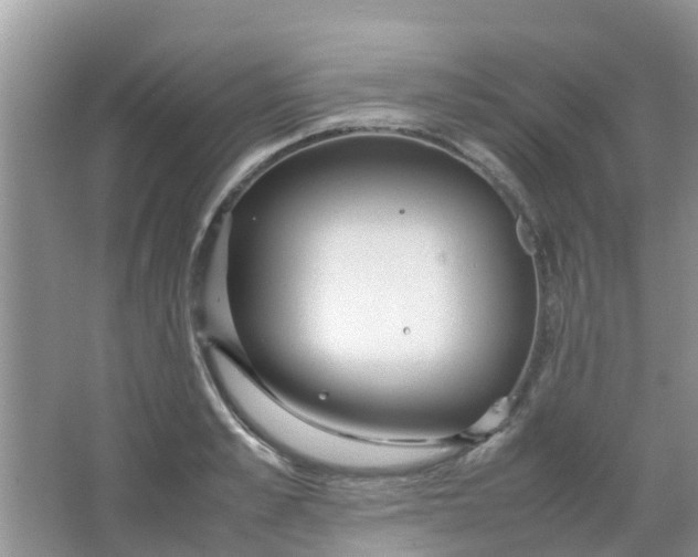 X0000066940989200604071908