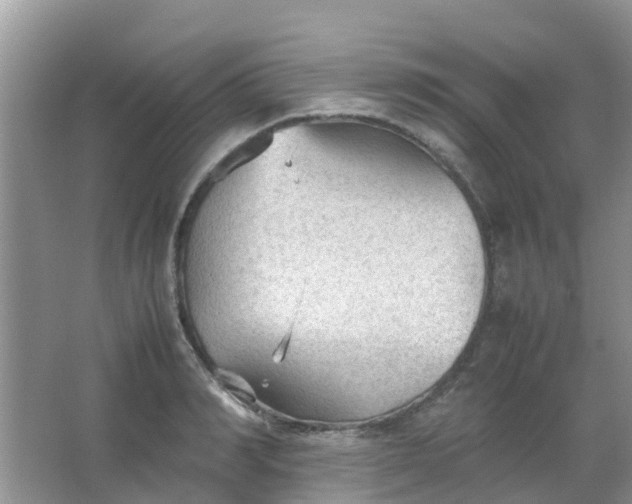 X0000066940990200604071908