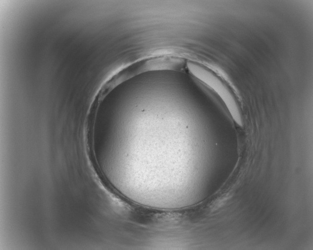 X0000066940991200604071908