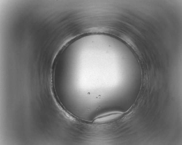 X0000066940992200604071908