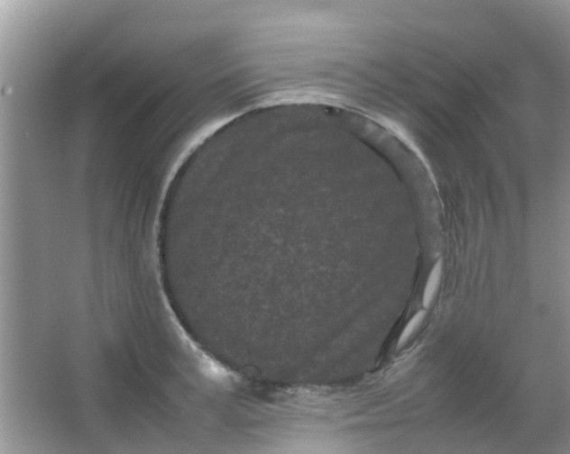 X0000066940995200604071907