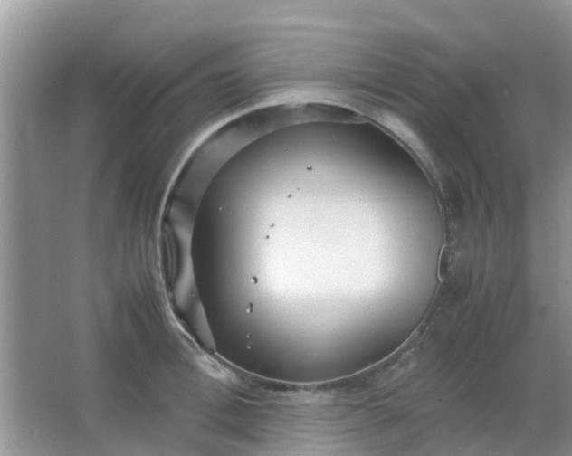 X0000066940996200604071907