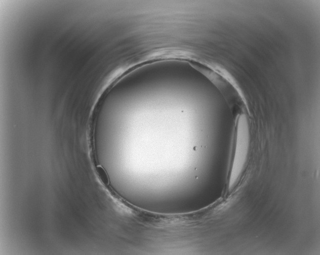 X0000066940997200604071907