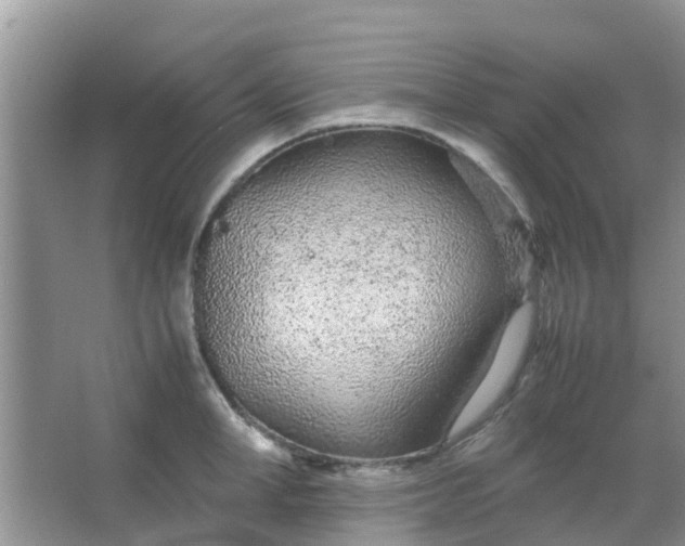 X0000066940998200604071907