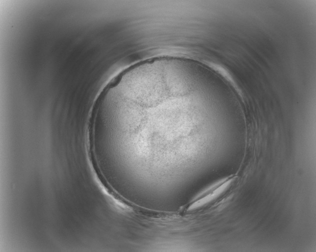 X0000066940999200604071907