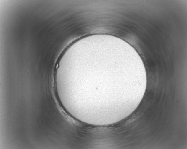 X0000066941000200604071907