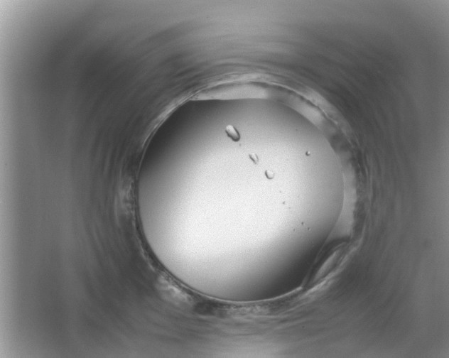 X0000066941001200604071907