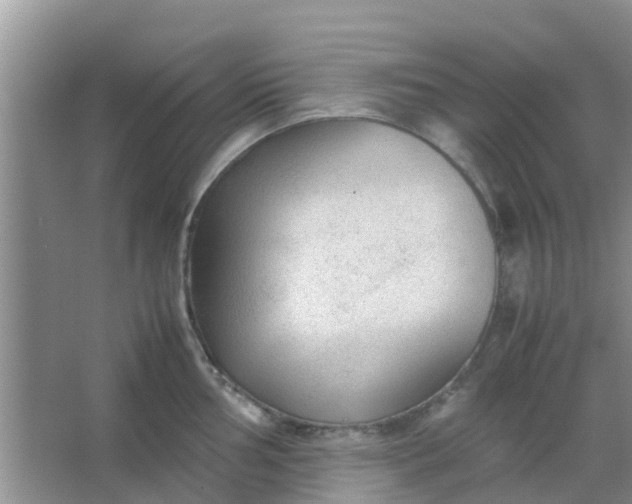 X0000066941002200604071907