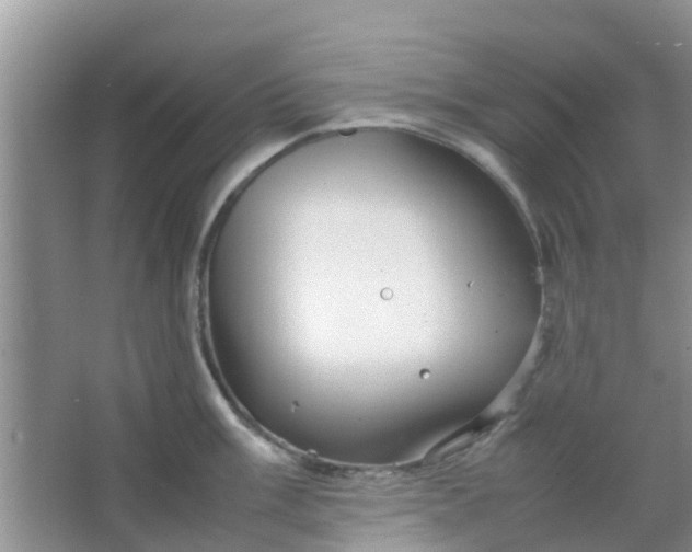 X0000066941003200604071907