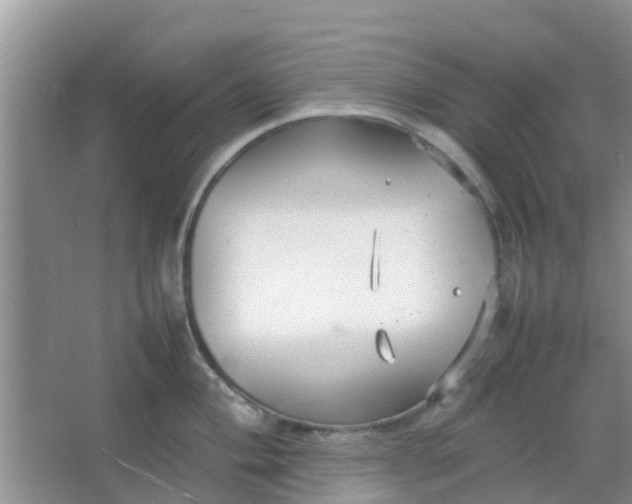 X0000066941004200604071907