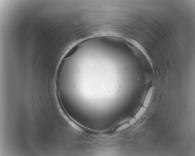 X0000066941005200604071907