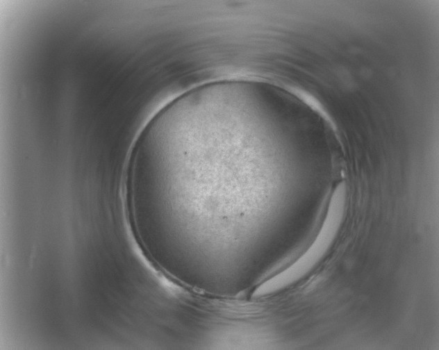 X0000066941007200604071907