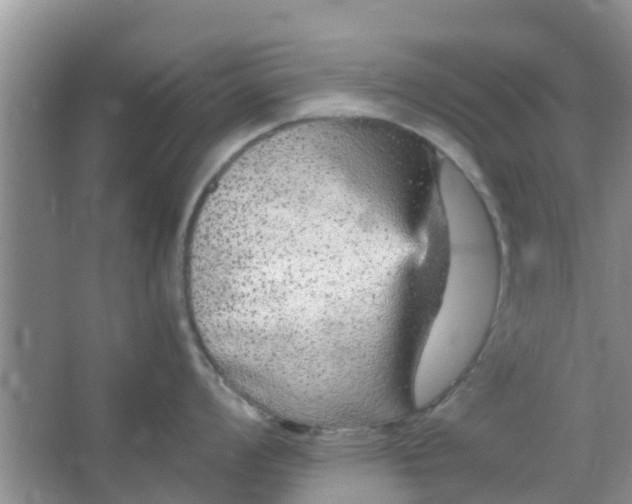 X0000066941008200604071907