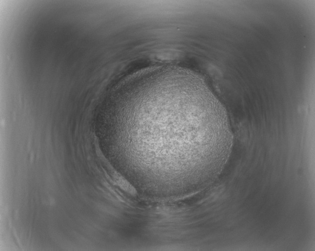 X0000066941009200604071906