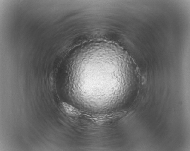 X0000066941011200604071906