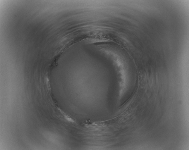 X0000066941013200604071906