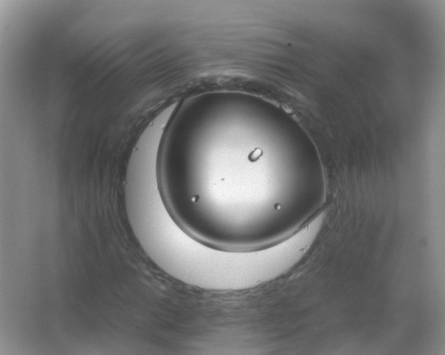 X0000066941014200604071907