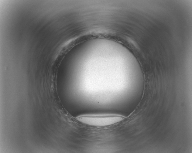 X0000066941016200604071907