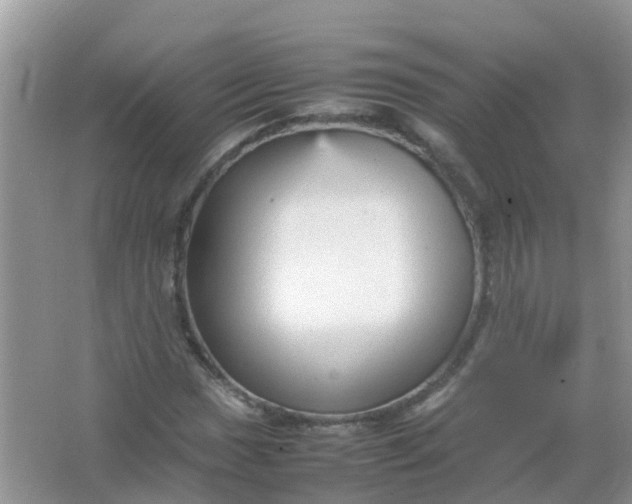 X0000066941017200604071907