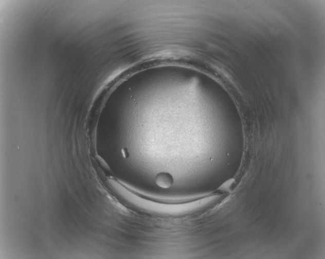 X0000066941018200604071907