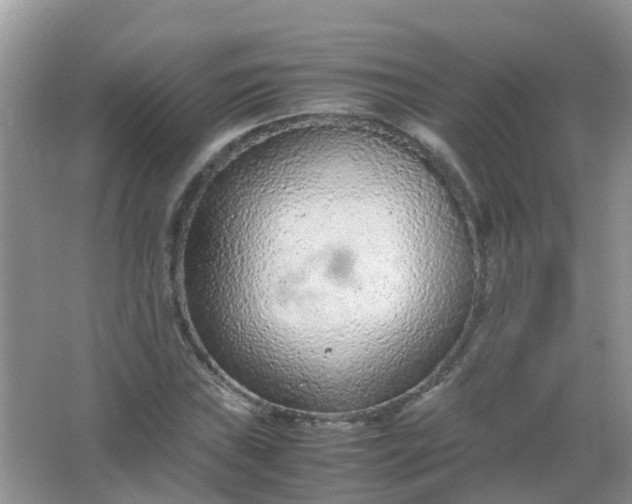 X0000066941019200604071907