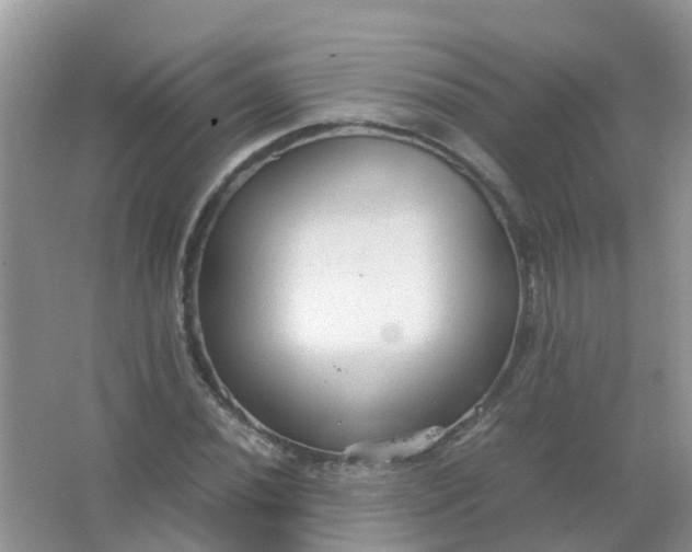 X0000066941020200604071907