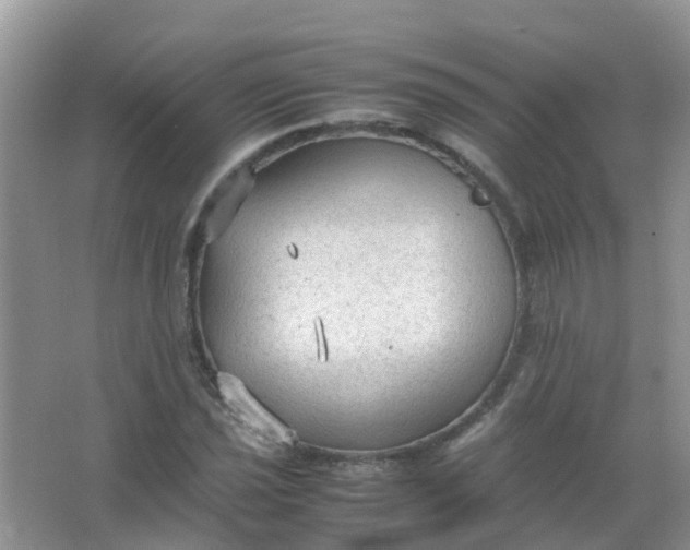 X0000066941021200604071907