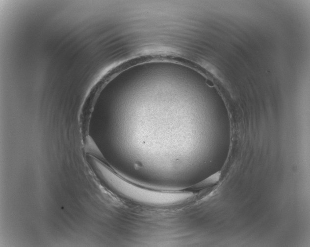 X0000066941022200604071907