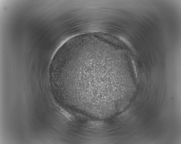 X0000066941023200604071907