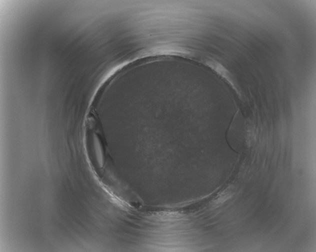 X0000066941024200604071907