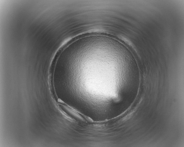 X0000066941029200604071907