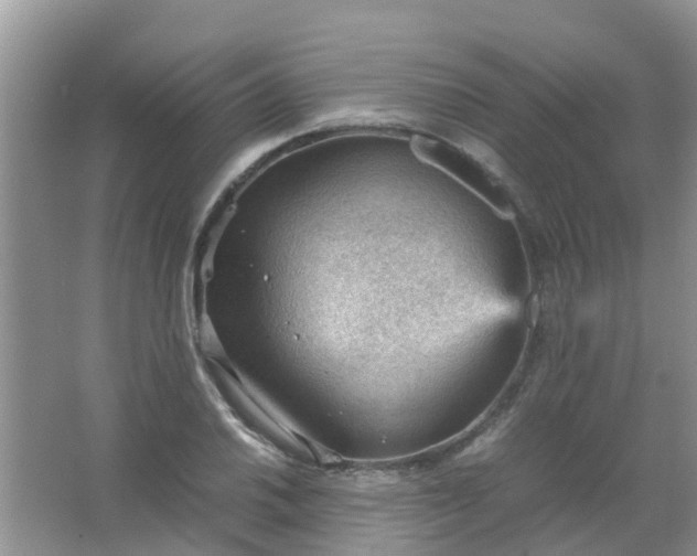 X0000066941030200604071907