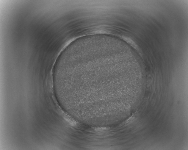 X0000066941031200604071907