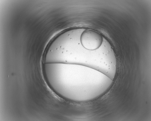 X0000066941032200604071907