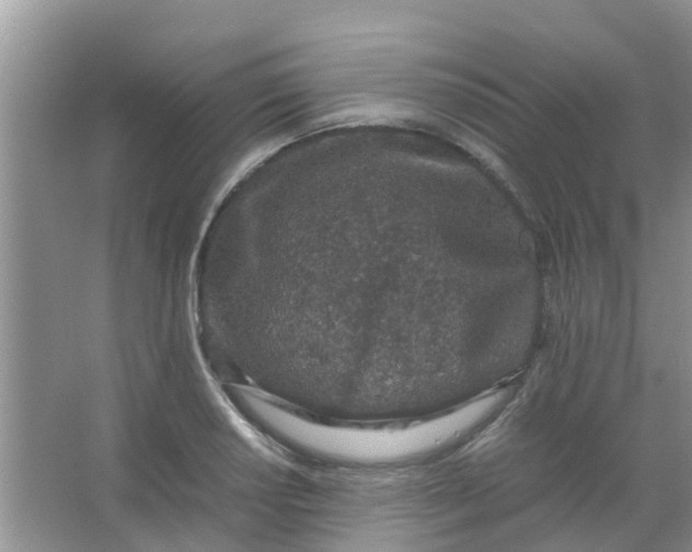 X0000066941034200604071907