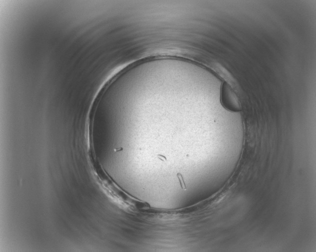 X0000066941036200604071907