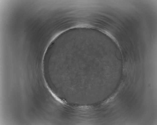 X0000066941037200604071907