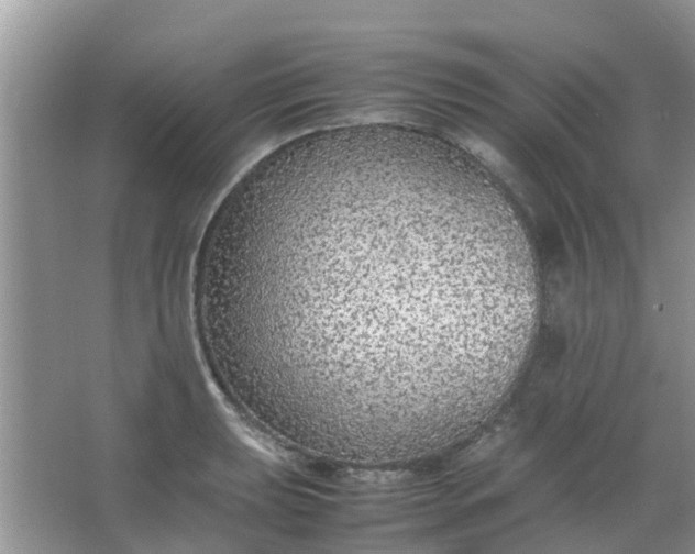 X0000066941039200604071907