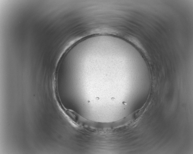 X0000066941040200604071907