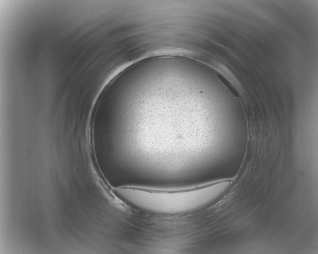 X0000066941044200604071907