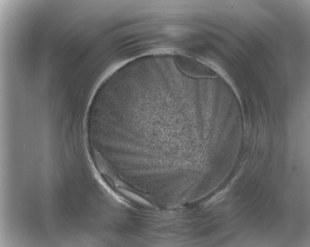 X0000066941045200604071907