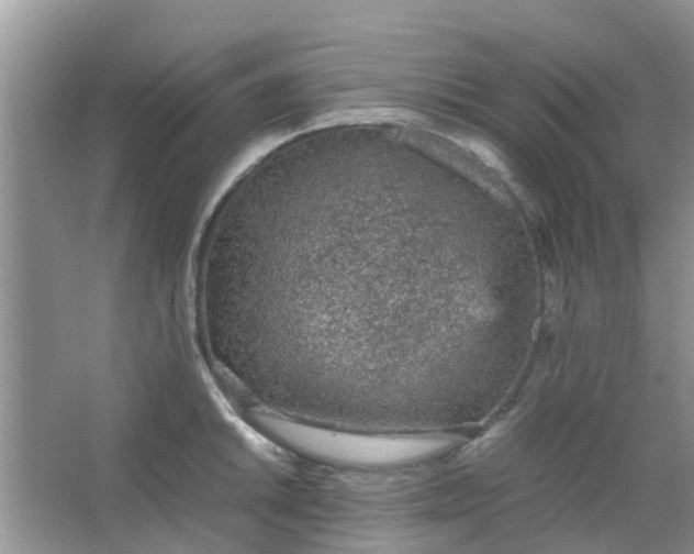 X0000066941046200604071907